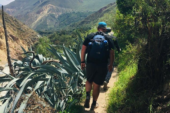 Colca Canyon 3-Day Trek: Sangalle Oasis to Cabanaconde Adventure photo 6