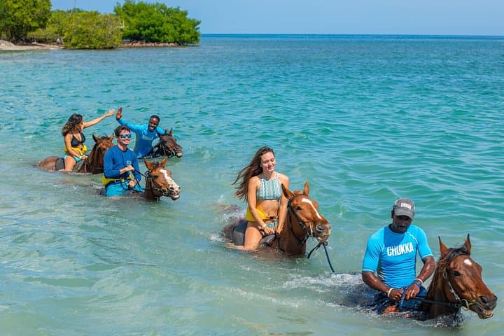 Ocho Rios Horseback Ride and Swim — Richmond & Llandovery Estates Adventure photo 4