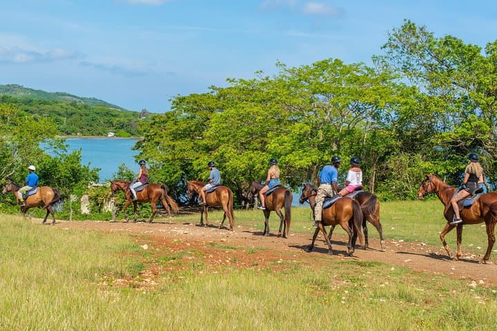 Ocho Rios Horseback Ride and Swim — Richmond & Llandovery Estates Adventure photo 2