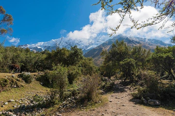 Full-Day Humantay Lake Trek from Cusco — Sacred Turquoise Laguna & Salkantay Views photo 4