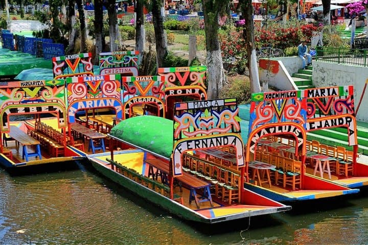 Xochimilco, Coyoacán & UNAM Tour — Trajinera Rides, Murals and Colonial Squares photo 5
