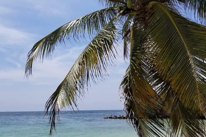 Three Islands in One Day: Barú & Rosario Islands Boat Tour from Cartagena photo 4