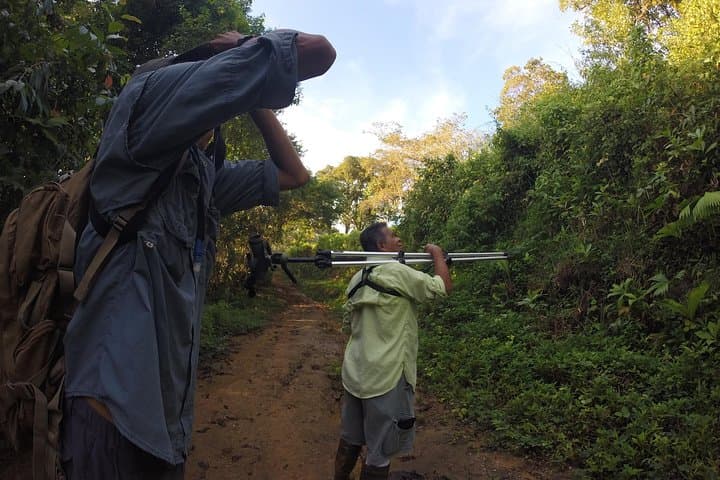 Drake Bay Early Birds: Morning Birdwatching Tour in Osa Peninsula