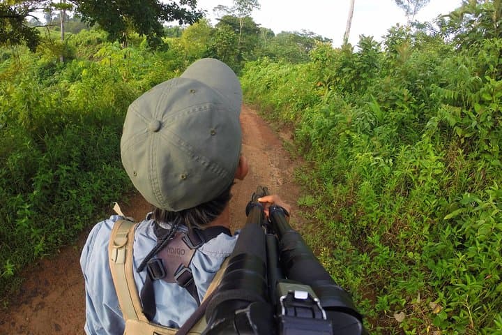 Drake Bay Early Birds: Morning Birdwatching Tour in Osa Peninsula photo 5