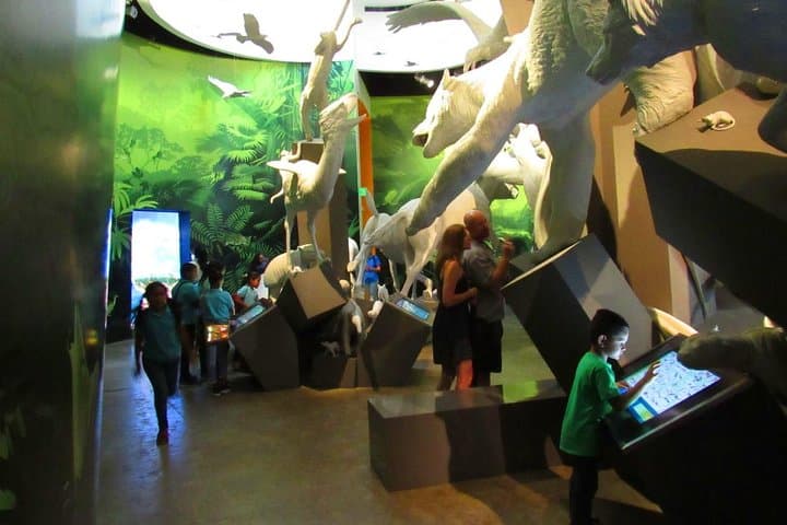 Panama City BioTour: Rainforest Hike, Biomuseo & Punta Culebra Day Trip