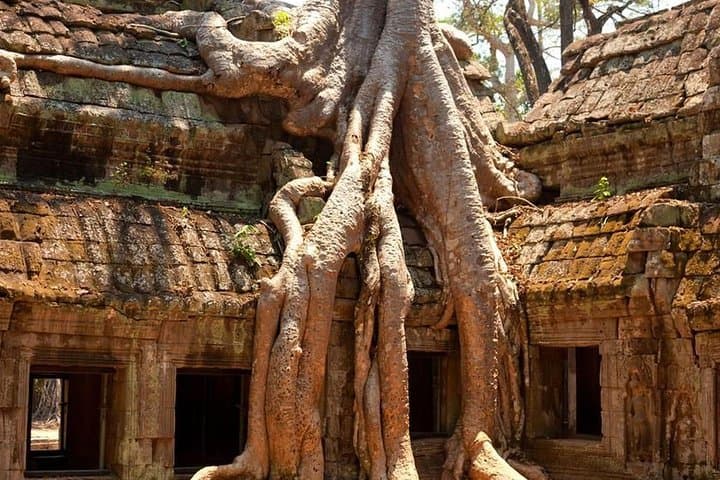 Angkor Wat Private Day Tour — Siem Reap Temples, Ta Prohm & Sunset photo 4