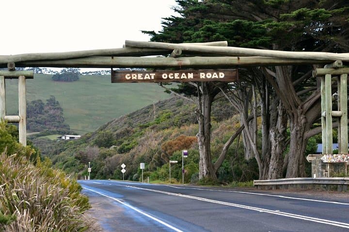 Boutique Great Ocean Road Wildlife and Rainforest Day Tour from Melbourne photo 4