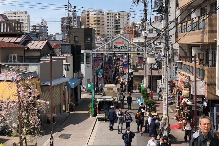 Old Town Tokyo Food Tour in Yanaka: Local Eats & Historic Streets photo 4