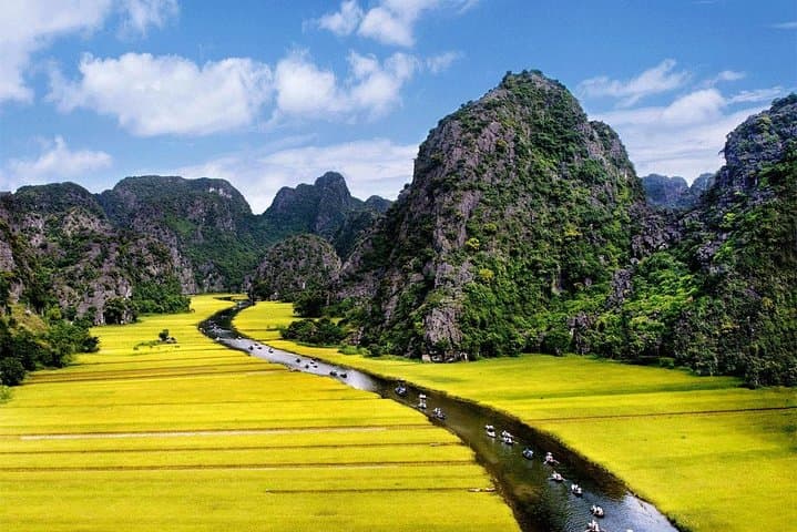 Ninh Binh & Cuc Phuong 2-Day: Tam Coc Boat, Mua Cave & Cuc Phuong Trek