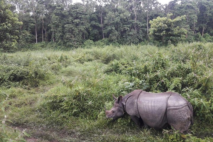 Nepal Family Adventure: 12-Day Ghorepani Poon Hill Trek, Pokhara & Chitwan Safari photo 5