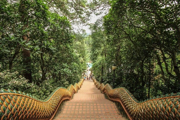 Morning Trek and Temple Visit: Doi Suthep Hike from Chiang Mai photo 4