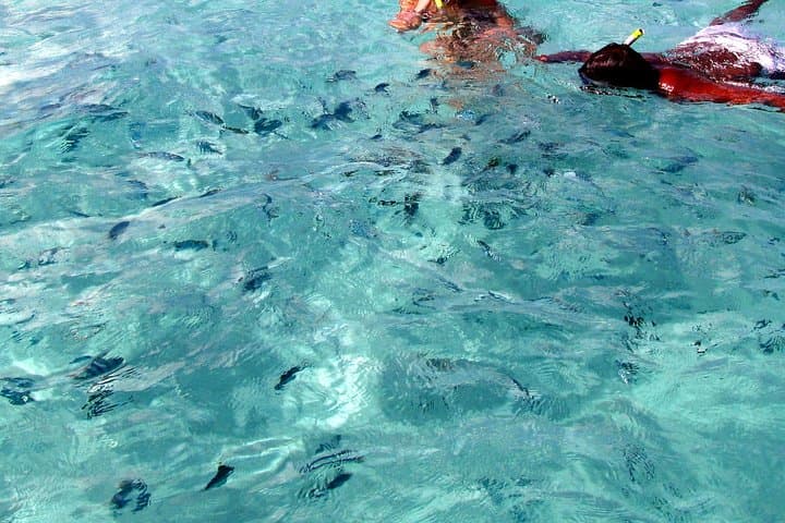 Private Catamaran Cruise to Ile aux Cerfs: Full-Day Snorkel, BBQ & Waterfall Visit photo 3