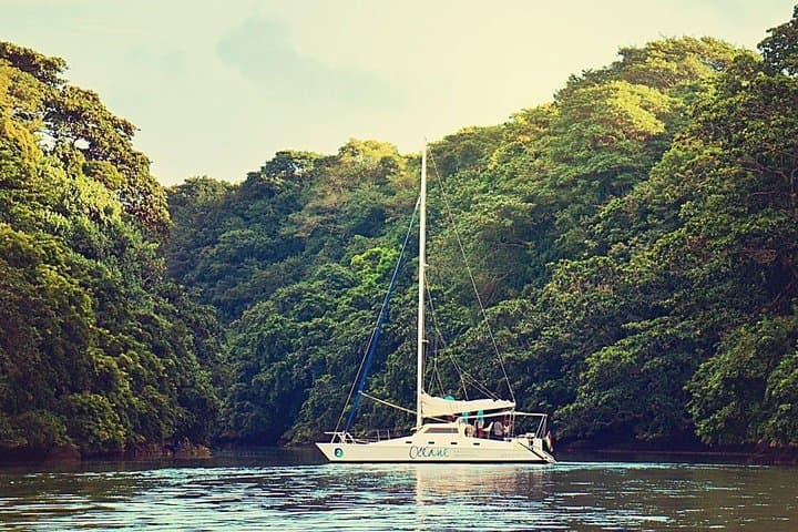 Private Catamaran Cruise to Ile aux Cerfs: Full-Day Snorkel, BBQ & Waterfall Visit photo 6