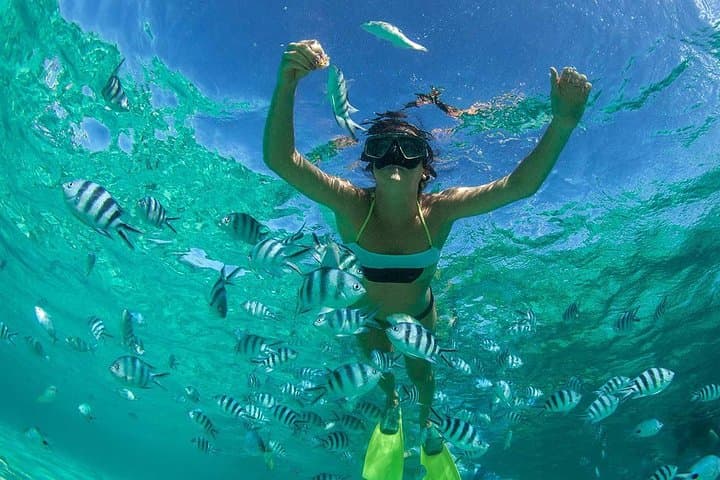 East Coast Catamaran Cruise to Ile aux Cerfs: Parasailing, Snorkel & BBQ Lunch photo 2