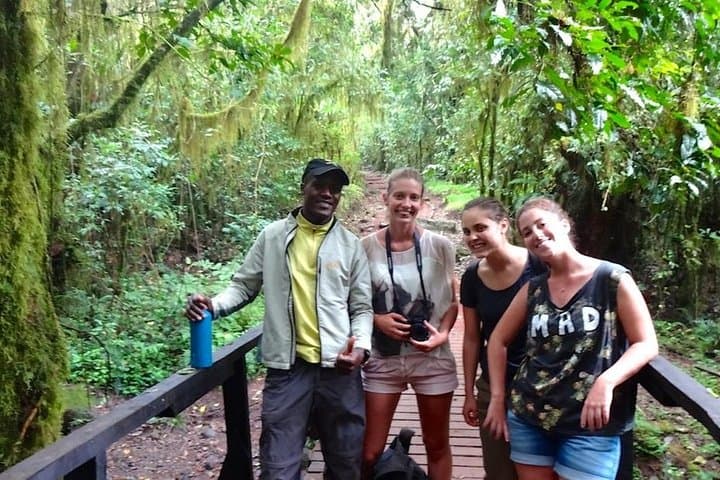 Mount Kilimanjaro Day Tour to Mandara Hut — Marangu Route from Arusha