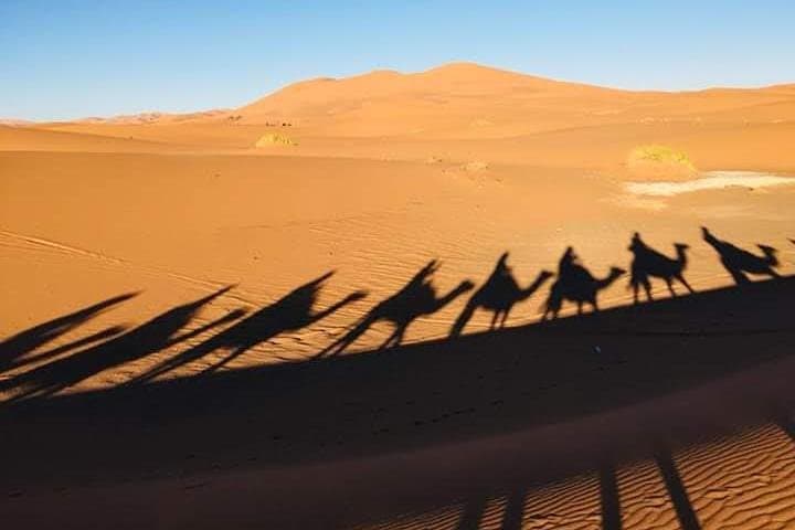 Fez to Marrakesh in 4 Days: Merzouga Dunes, Todra Gorges & Aït Ben Haddou