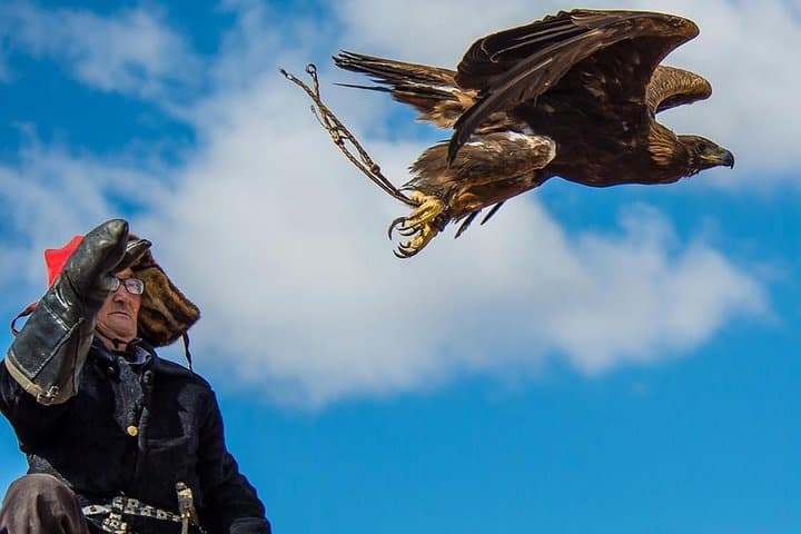Golden Eagle Festival in Bayan-Ölgii: Watch Kazakh Eagle Hunters in Mongolia photo 4