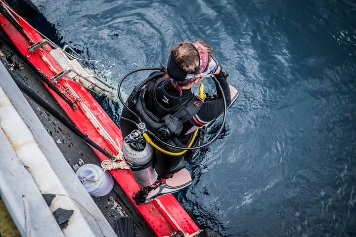 Sail Rock Day Dive From Koh Phangan: Two-Tank Adventure at the Gulf’s Pinnacle photo 2