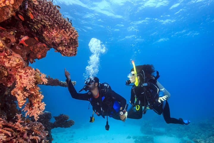 PADI Advanced Open Water Course on Nusa Lembongan — 5 Dives to 30m photo 3