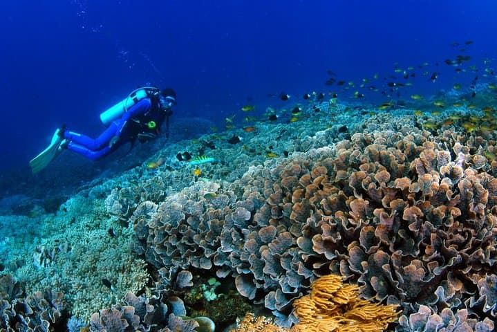 PADI Advanced Open Water Course in Bali — Dive Nusa Lembongan & Tulamben photo 4