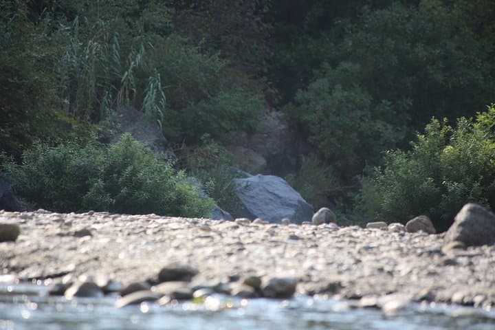 Etna and Alcantara Gorges: Volcano, Lava Caves & River Trek photo 5