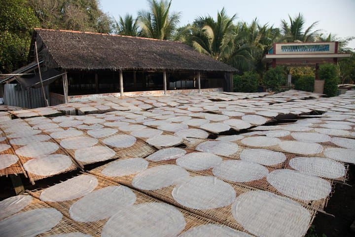 Mekong Delta Full-Day: Cai Be & Vinh Long Floating Markets, Sampans and Orchard Lunch photo 4