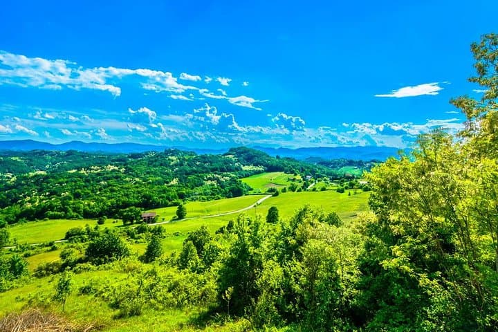 Trakošćan Castle Day Tour: Castle Visit, Vuglec Breg Wine Tasting & Lunch from Zagreb photo 2