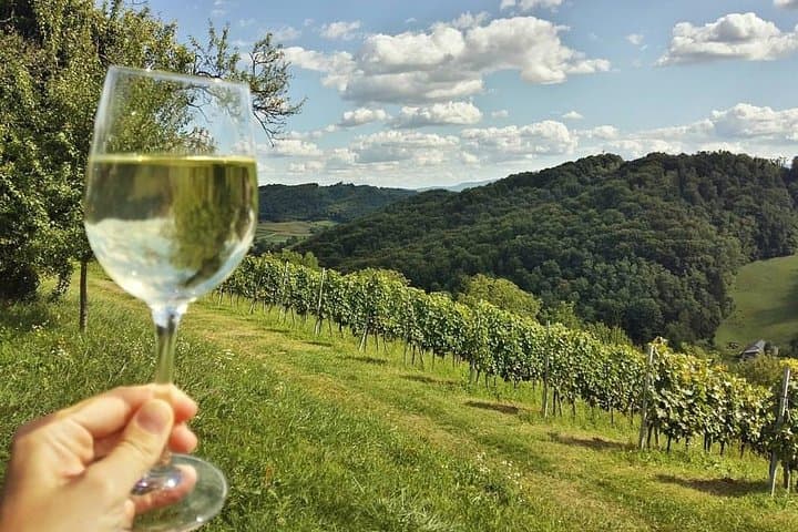 Trakošćan Castle Day Tour: Castle Visit, Vuglec Breg Wine Tasting & Lunch from Zagreb photo 5
