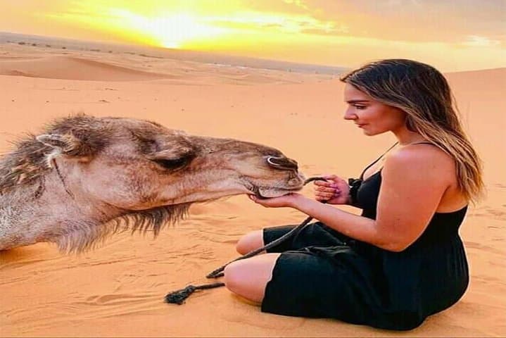 Sunset Dune Dinner Safari in Dubai — Dune Bashing, Camel Rides & Bedouin Camp photo 3
