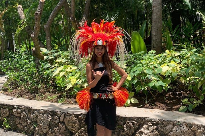Oahu North Shore Small-Group Tour: Dole Plantation, Haleiwa & Secret Snorkel photo 3