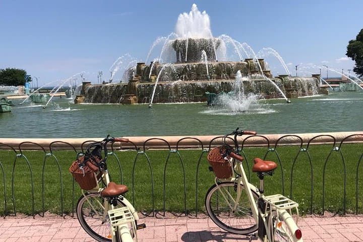Chicago Lakefront Electric Bike Tour — Navy Pier to Museum Campus photo 1