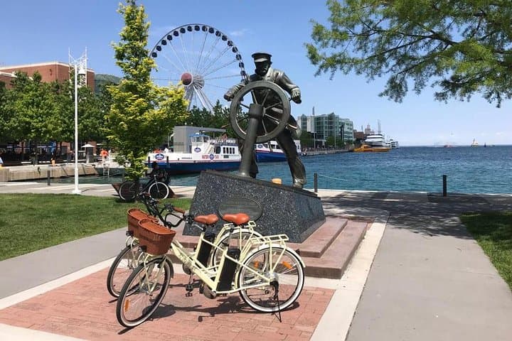 Chicago Lakefront Electric Bike Tour — Navy Pier to Museum Campus photo 3