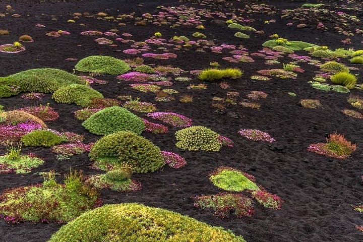 Exploring Grotta Serracozzo and Valle del Bove on Mount Etna: Cave Hike and Volcanic Valleys