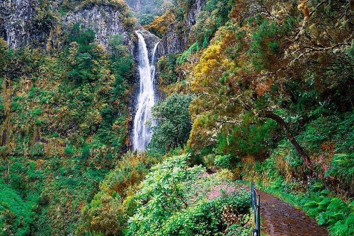 Rabaçal to 25 Fontes: Full-Day Levada Walk from Funchal