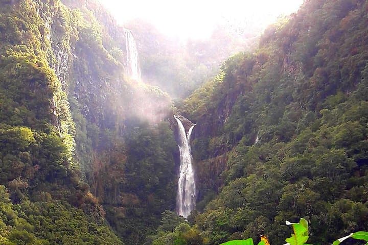 Rabaçal to 25 Fontes: Full-Day Levada Walk from Funchal photo 4