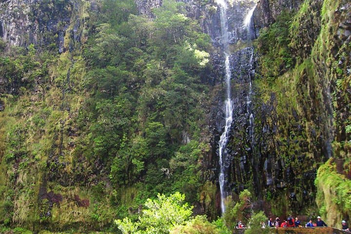 Rabaçal to 25 Fontes: Full-Day Levada Walk from Funchal photo 5