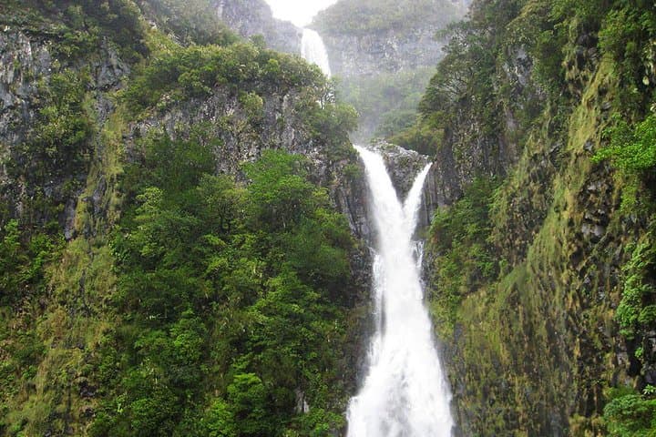 Rabaçal to 25 Fontes: Full-Day Levada Walk from Funchal photo 6