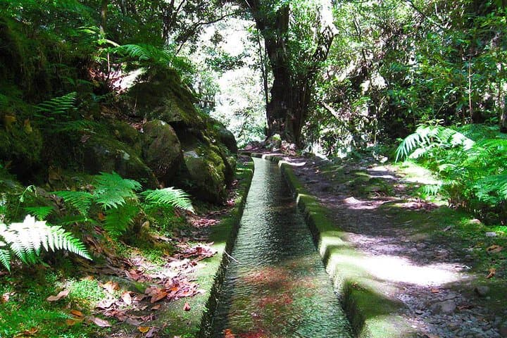 Levada Walk from Funchal: Hidden Corners of São Jorge (8‑Hour Guided Hike) photo 1