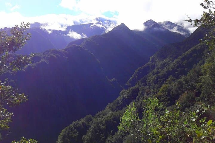 Levada Walk from Funchal: Hidden Corners of São Jorge (8‑Hour Guided Hike) photo 4