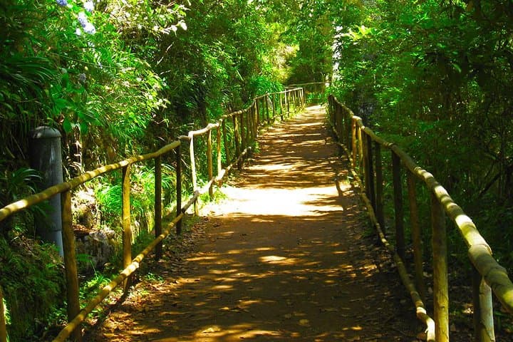 Levada do Caldeirão Verde: Classic Queimadas-to-Caldeirão Verde Levada Hike from Funchal