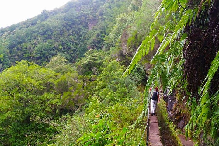 Levada do Caldeirão Verde: Classic Queimadas-to-Caldeirão Verde Levada Hike from Funchal photo 6
