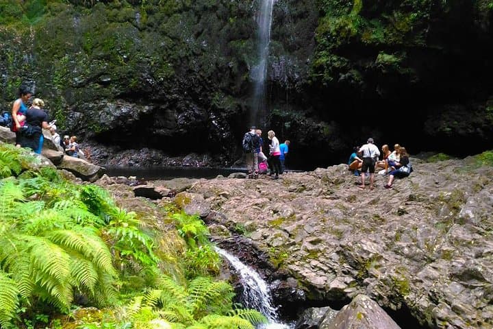 Levada do Caldeirão Verde: Classic Queimadas-to-Caldeirão Verde Levada Hike from Funchal photo 2