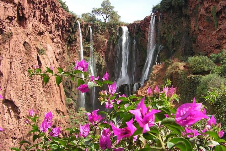 Ouzoud Falls Day Trip from Marrakech — Waterfalls, Monkeys & River Dips photo 5