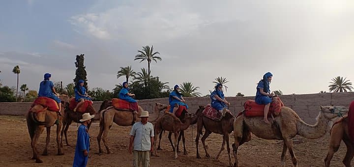 Palmeraie Camel Ride: 1-Hour Trek & Mint Tea from Marrakech photo 5