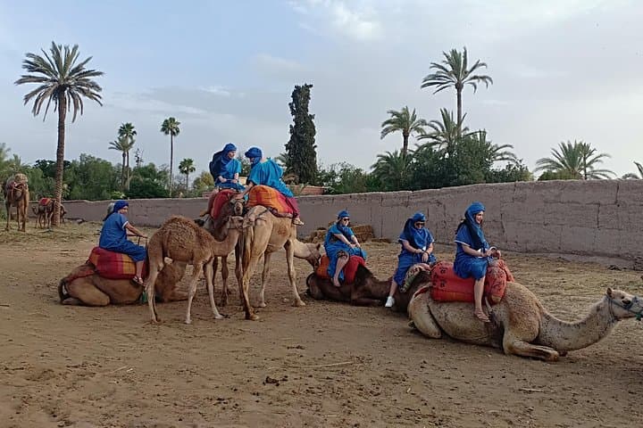 Palmeraie Camel Ride: 1-Hour Trek & Mint Tea from Marrakech photo 6
