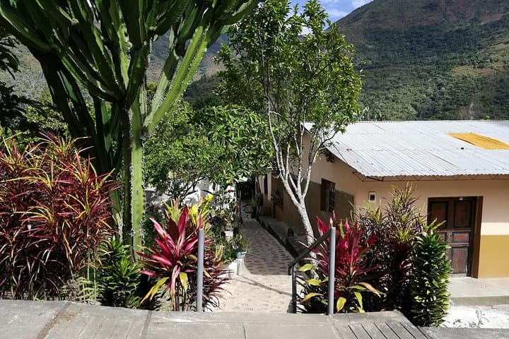 Cacao Farm Tour in the Jungle of Cusco: Full-Day Chocolate Immersion photo 2