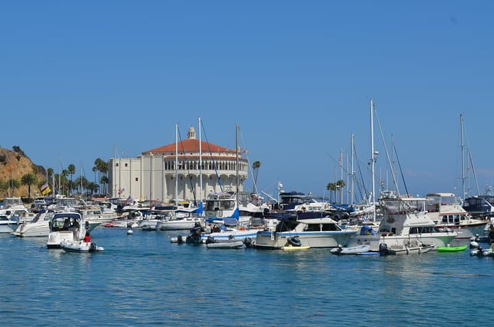 Catalina Island Day Trip: Avalon Scenic Tour with Hotel Transfers photo 3