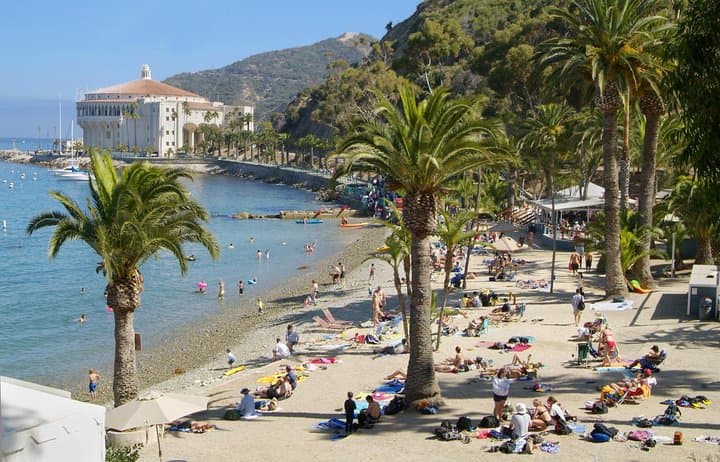 Catalina Island Day Trip: Avalon Scenic Tour with Hotel Transfers photo 2
