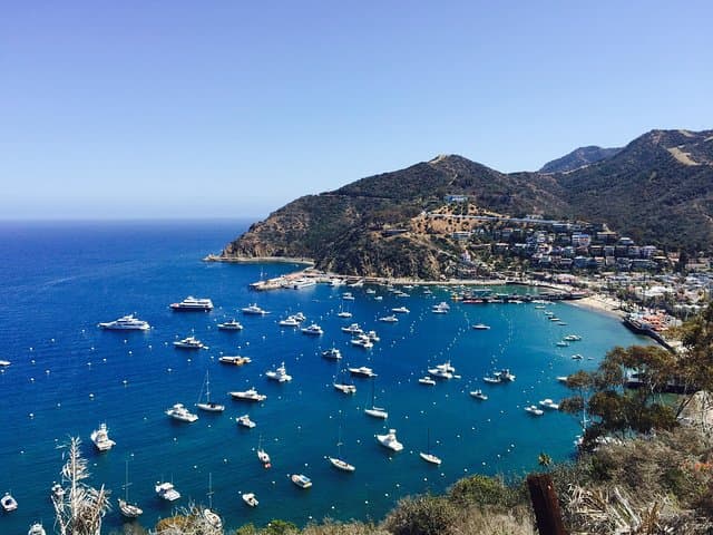 Catalina Island Day Trip: Avalon Scenic Tour with Hotel Transfers photo 1
