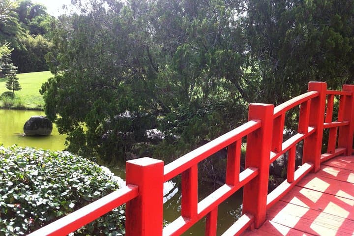 Los Tres Ojos and Santo Domingo Botanical Garden: Cave Lakes, Underground Rivers & a Zen Garden photo 5